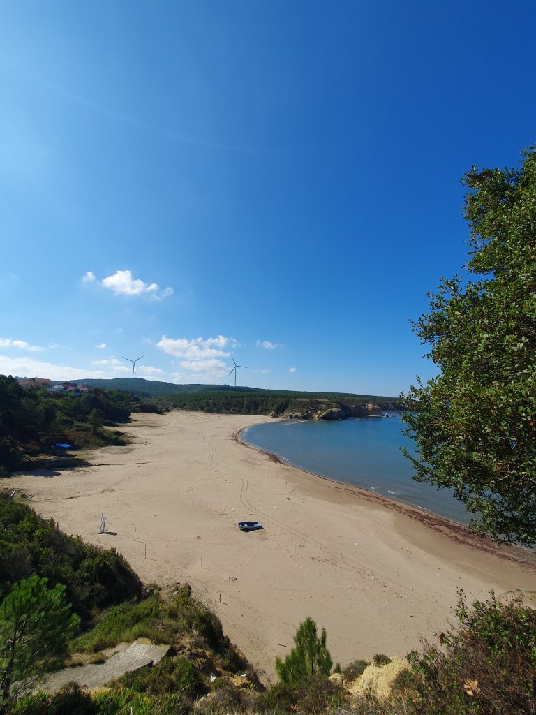 Tuzagzi Koyu 2 768x1024
