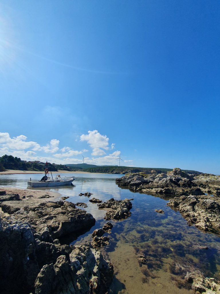 Tuzagzi Koyu 5 768x1024