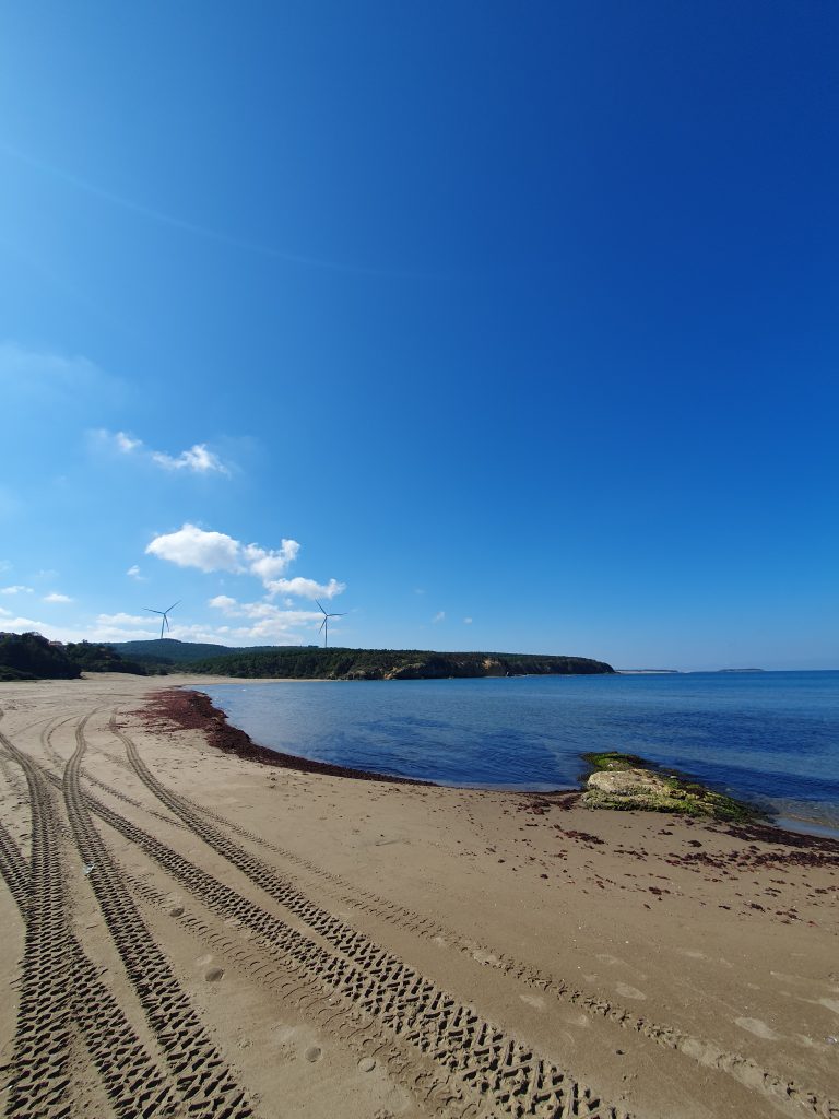 Tuzagzi Koyu 6 768x1024