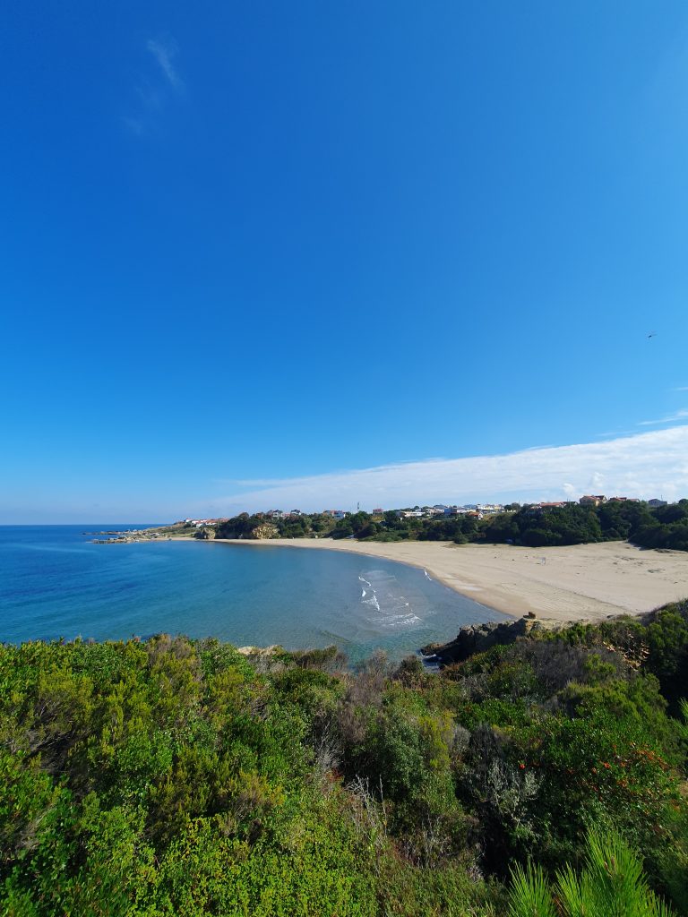 Tuzagzi Koyu 7 768x1024