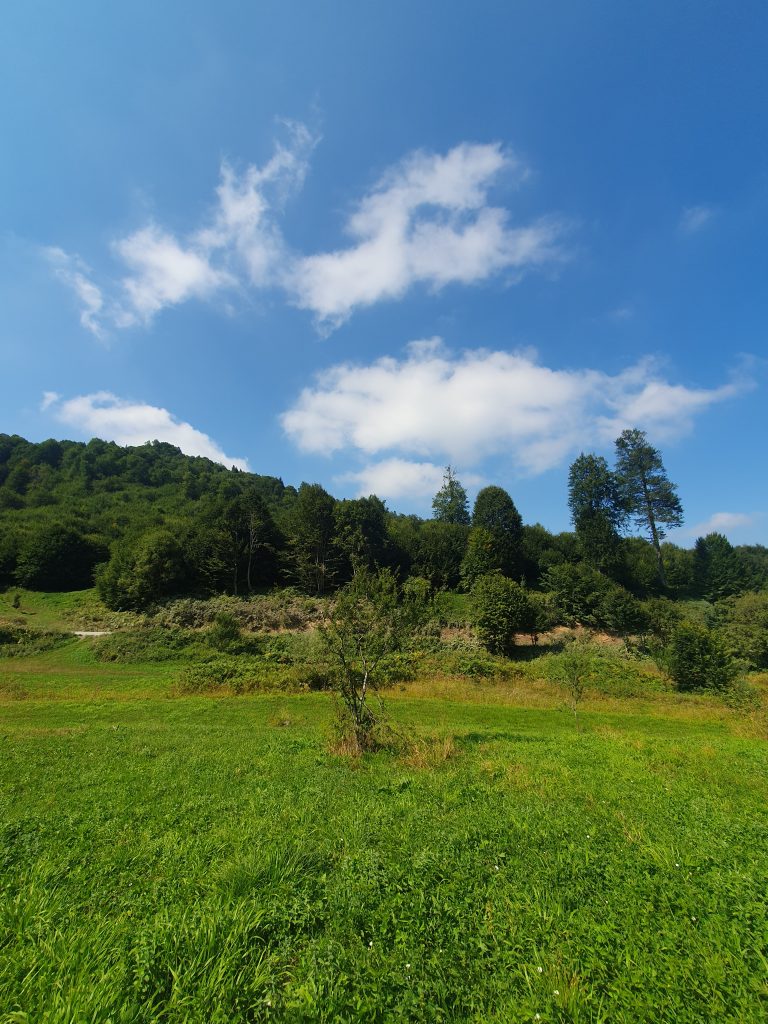 Uzundere Yaylasi 15 768x1024