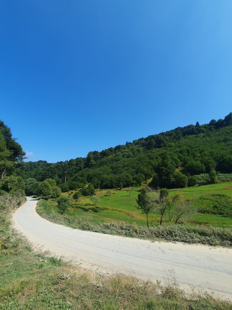 Uzundere Yaylasi 16 768x1024