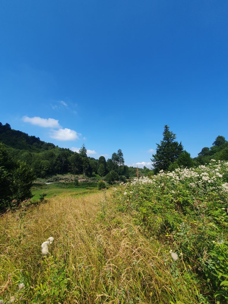 Uzundere Yaylasi 2 768x1024