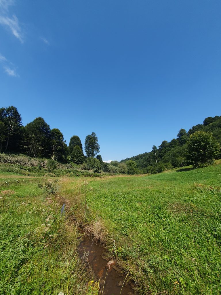Uzundere Yaylasi 4 768x1024
