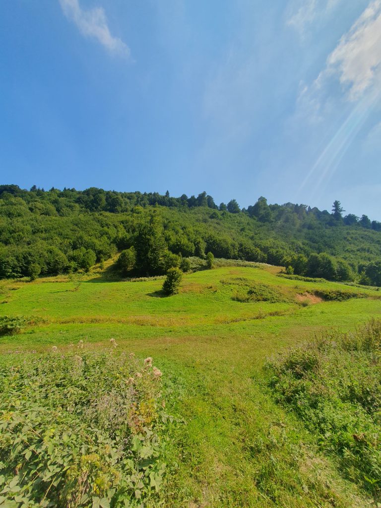 Uzundere Yaylasi 7 768x1024