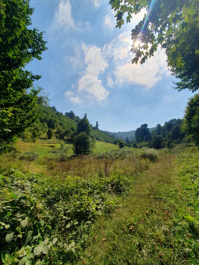 Uzundere Yaylasi 9 768x1024