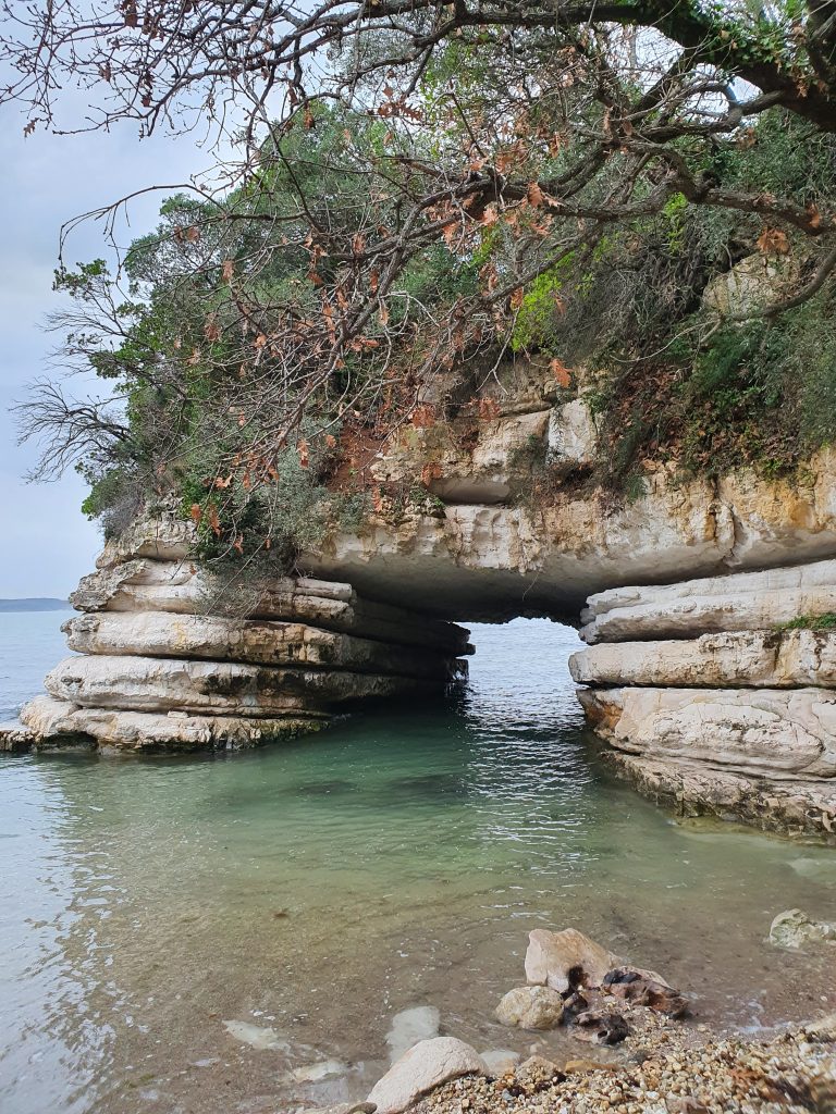 Kerpe Delikli Koy 6 768x1024
