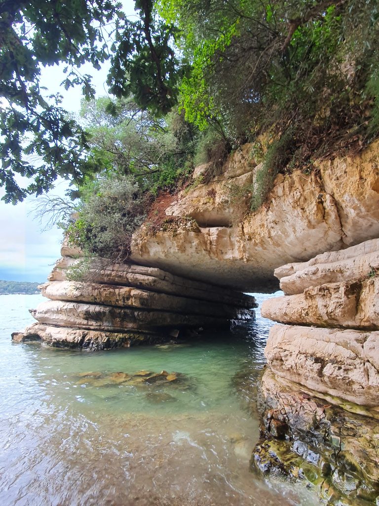 Kerpe Delikli Koy 6a 768x1024