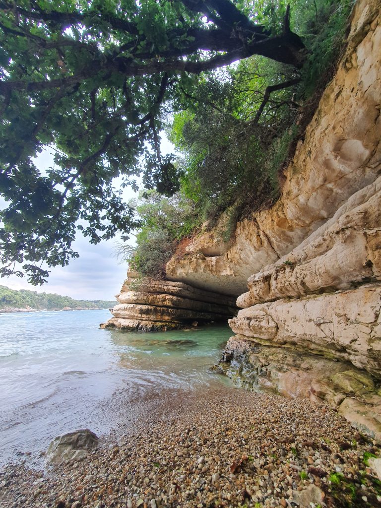 Kerpe Delikli Koy 6c 768x1024