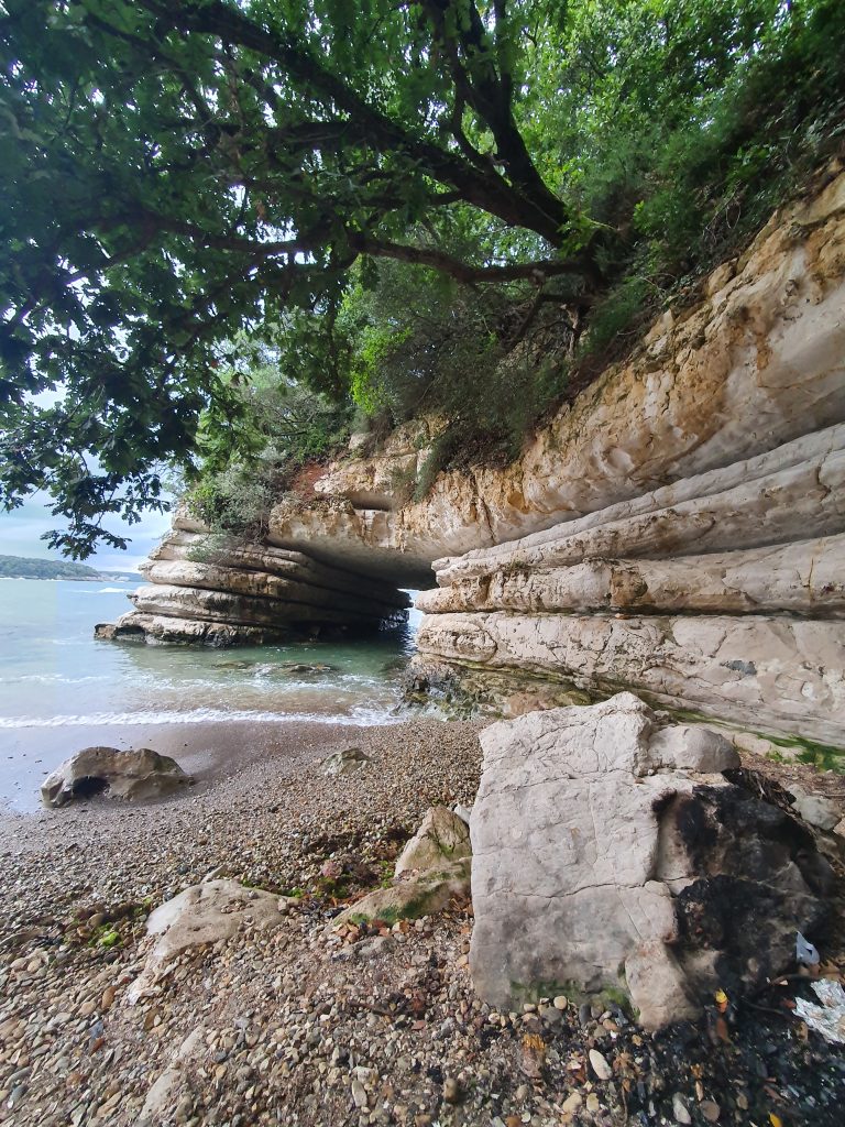 Kerpe Delikli Koy 8 768x1024