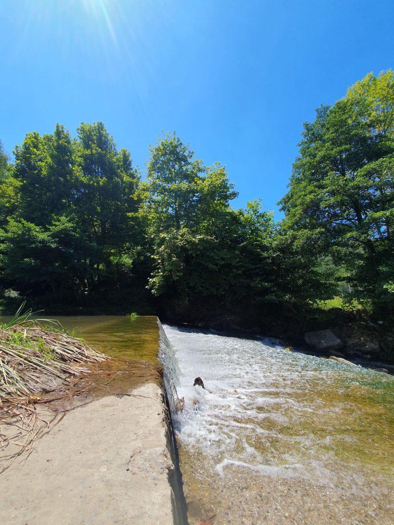 Tasagil Su Bendi Karamursel 6 768x1024