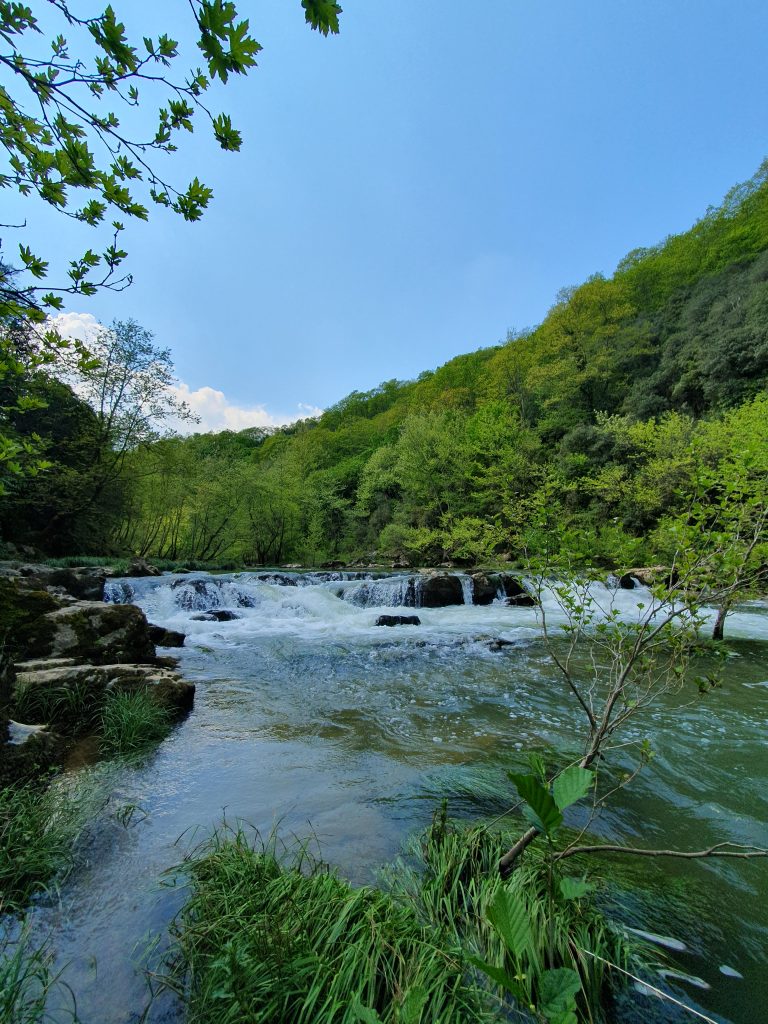 Tepemanayir Selalesi 2 768x1024