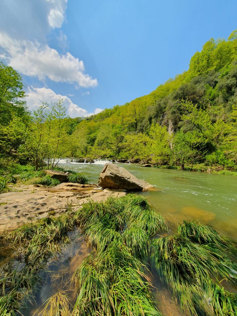 Tepemanayir Selalesi 3 768x1024