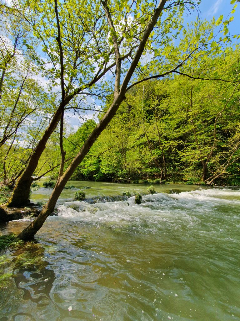 Tepemanayir Selalesi 4 768x1024