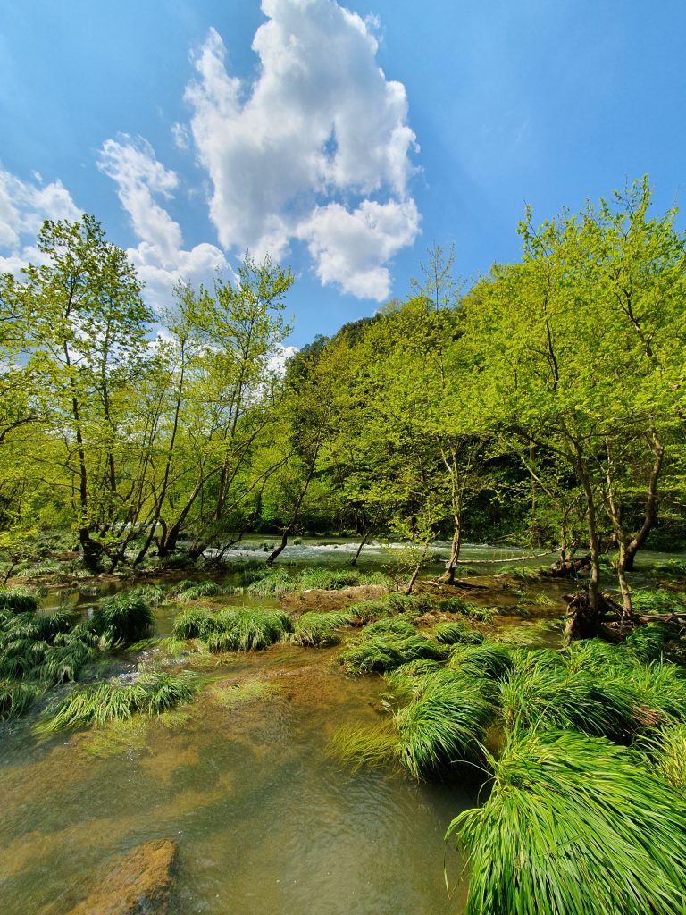 Tepemanayir Selalesi 5 768x1024