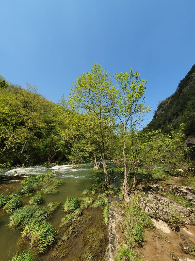 Tepemanayir Selalesi 6 768x1024