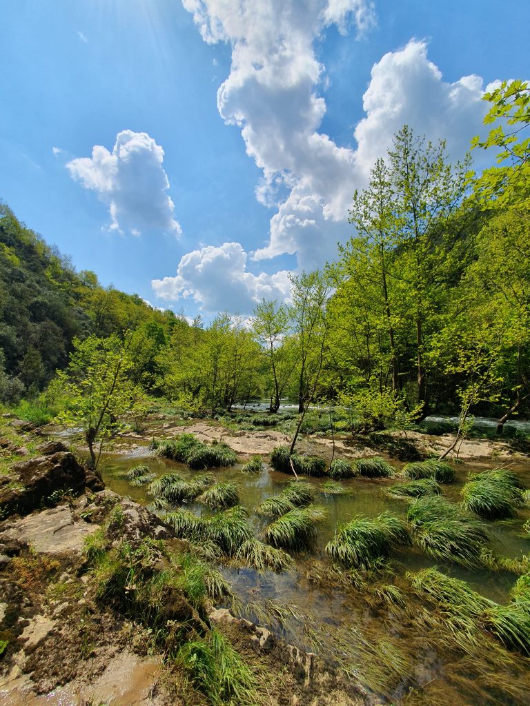 Tepemanayir Selalesi 7 768x1024