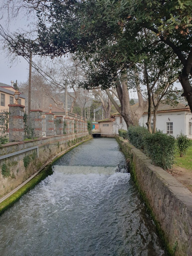 Ulupinar Deresi 5 768x1024