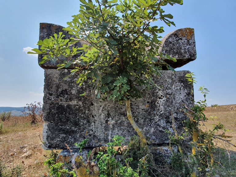 Agacagil Lahiti 5 768x576