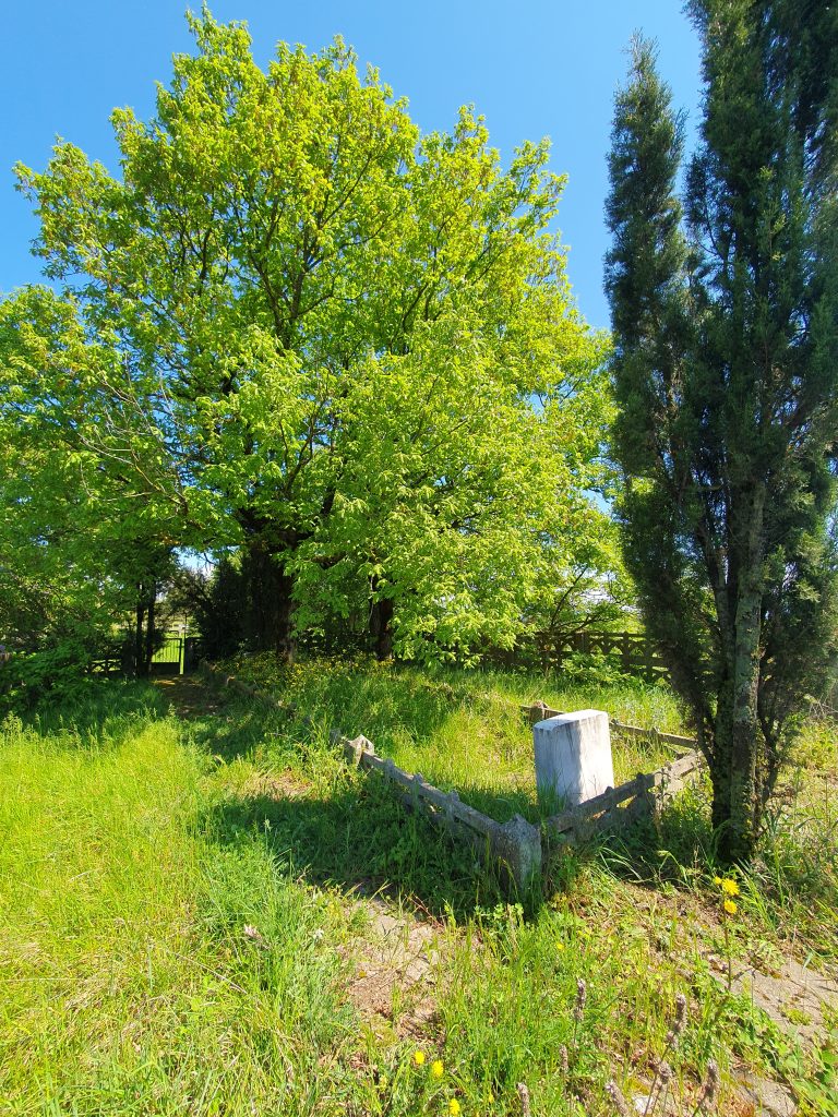 Dokuzlar Dede Turbesi 10 768x1024