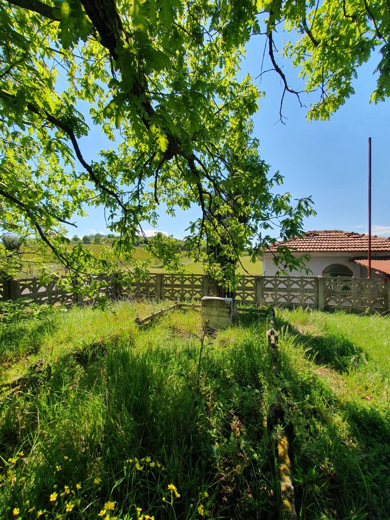 Dokuzlar Dede Turbesi 11 768x1024