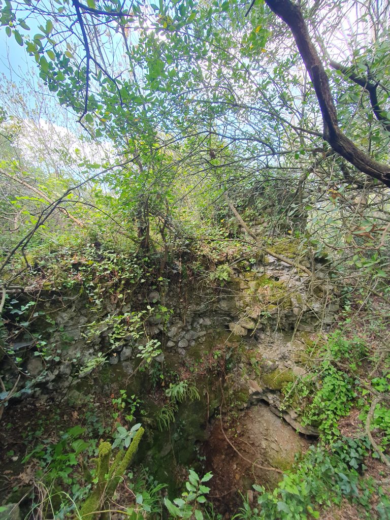 Pasadag Kale Kalintisi 11 768x1024