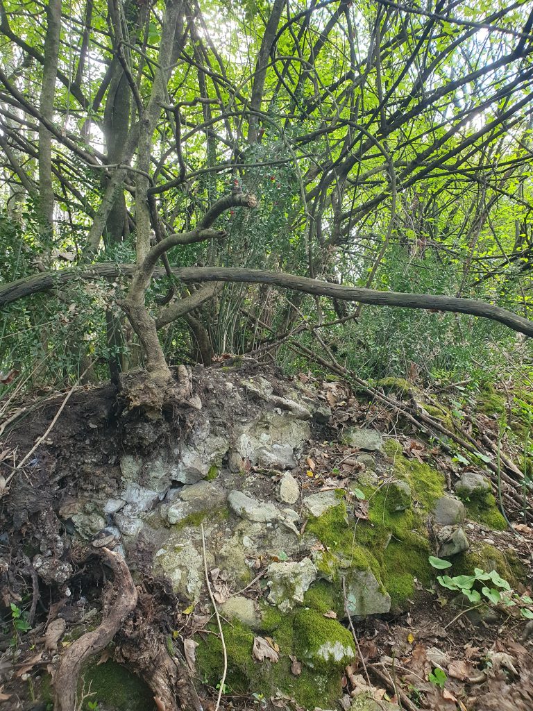 Pasadag Kale Kalintisi 15 768x1024