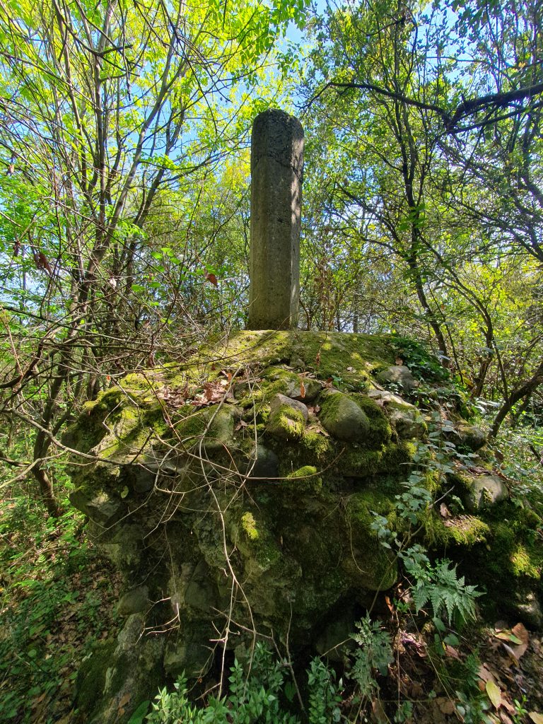 Pasadag Kale Kalintisi 7 768x1024