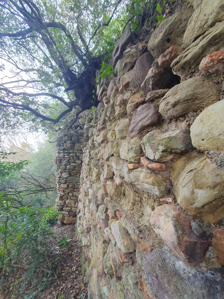 Manastir Tepe 1. Derece Arkeolojik Sit Alani 10 768x1024