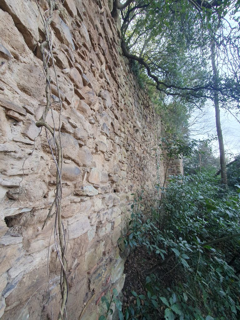 Manastir Tepe 1. Derece Arkeolojik Sit Alani 21 768x1024