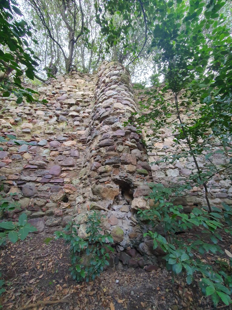 Manastir Tepe 1. Derece Arkeolojik Sit Alani 24 768x1024