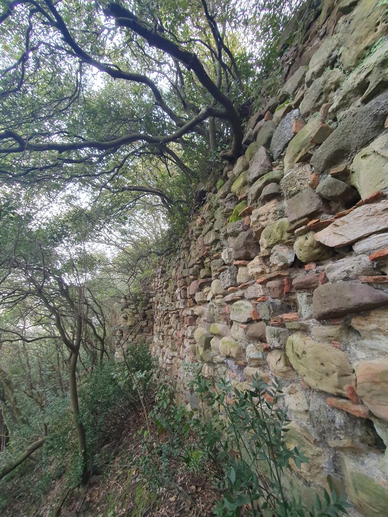 Manastir Tepe 1. Derece Arkeolojik Sit Alani 9 768x1024