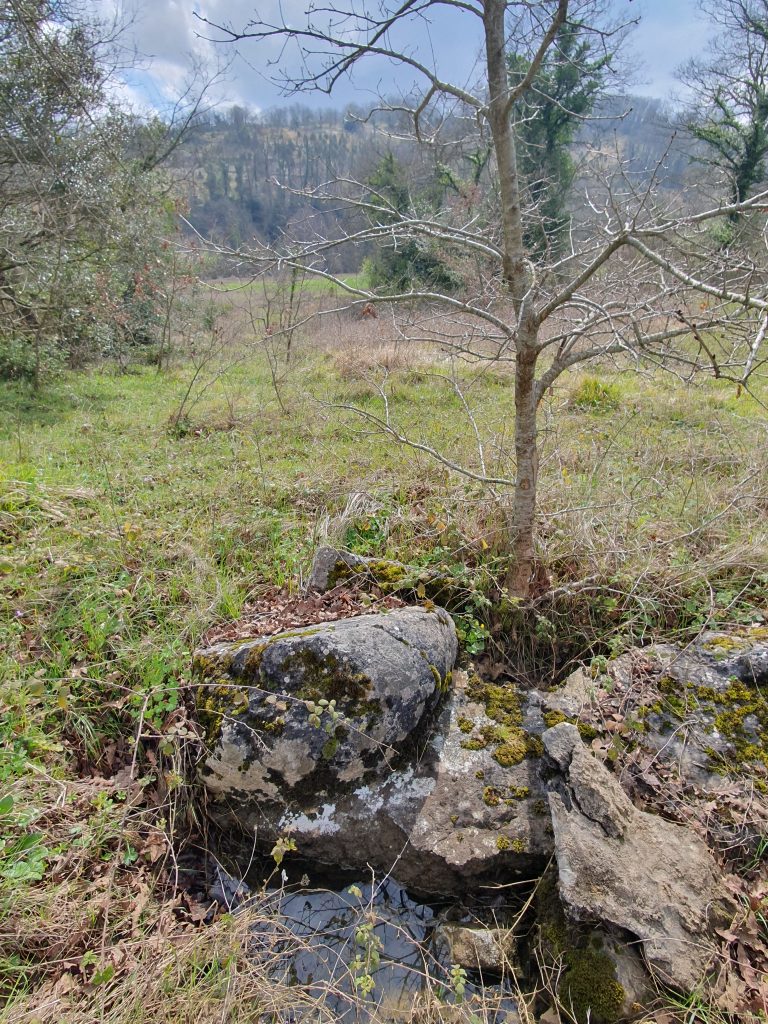 Nasuhlar 1. Derece Arkeolojik Sit Alani 41 768x1024