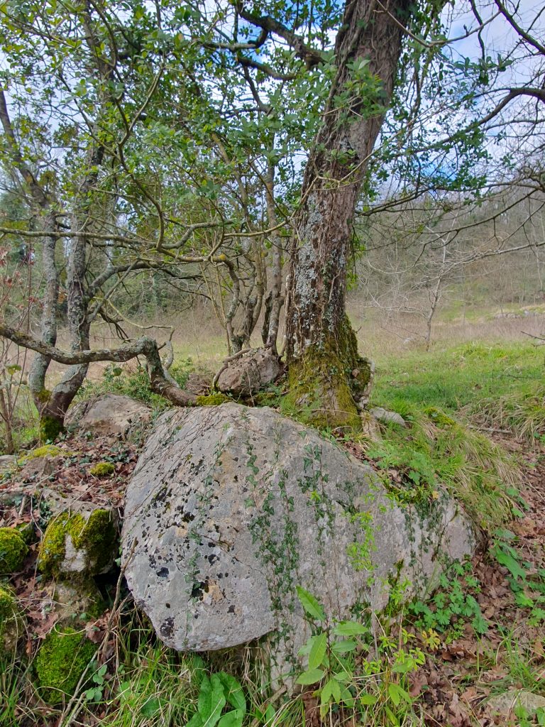 Nasuhlar 1. Derece Arkeolojik Sit Alani 43 768x1024