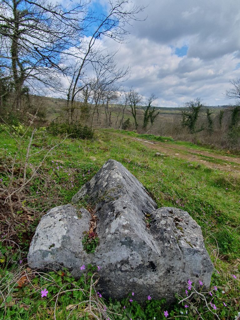Nasuhlar 1. Derece Arkeolojik Sit Alani 53 768x1024