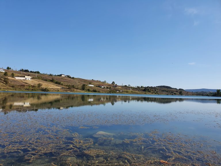 Utuk Goleti 11 768x576